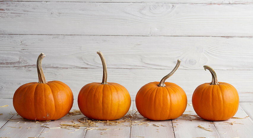 Pumpkin desserts 